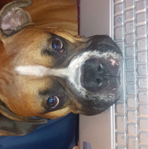 Meet your Posher, Clarke - Picture 1 of 1